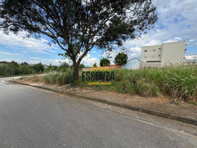 #3101 - Área para Venda em Pouso Alegre - MG - 1