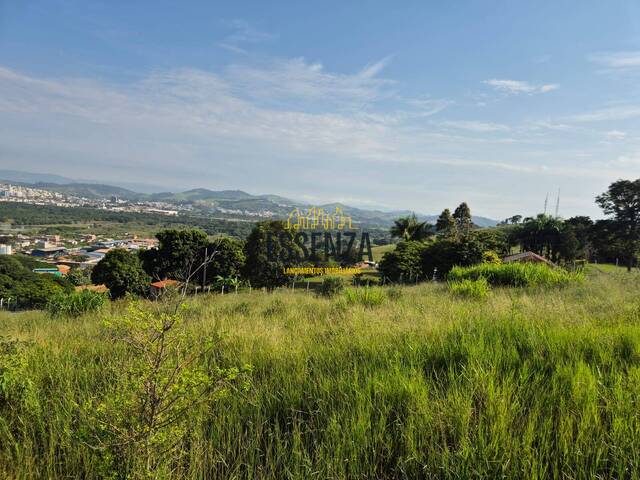 #3128 - Área para Venda em Pouso Alegre - MG - 2