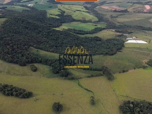 #3408 - Área para Venda em Ipuiúna - MG - 1