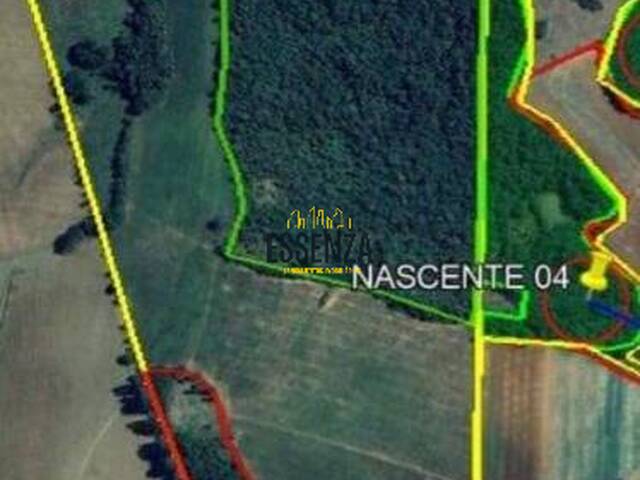 #3408 - Área para Venda em Ipuiúna - MG - 3