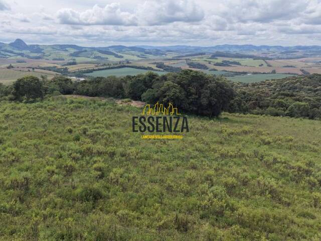 #3408 - Área para Venda em Ipuiúna - MG - 2