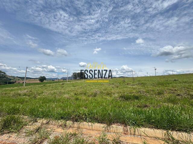 #3173 - Área para Venda em São Sebastião da Bela Vista - MG - 3