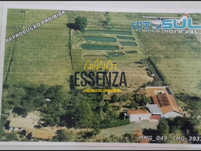 #3182 - Chácara para Venda em Pouso Alegre - MG - 3