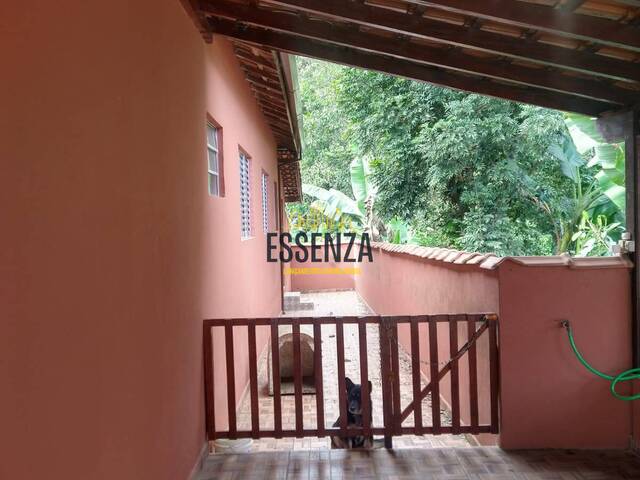 #3221 - Chácara para Venda em Pouso Alegre - MG - 2