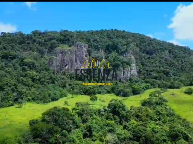 #3225 - Fazenda para Venda em Cachoeira de Minas - MG - 3