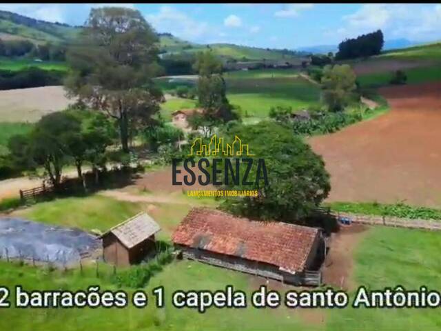 #3225 - Fazenda para Venda em Cachoeira de Minas - MG - 2