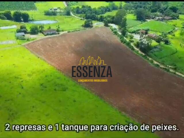 Fazenda para Venda em Cachoeira de Minas - 4