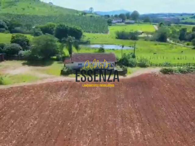 Fazenda para Venda em Cachoeira de Minas - 5