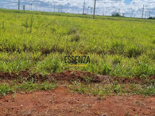 Área para Venda em Pouso Alegre - 4