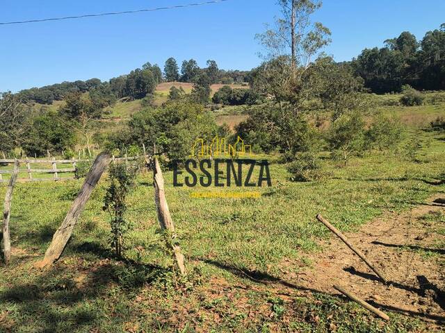Área para Venda em Pouso Alegre - 3