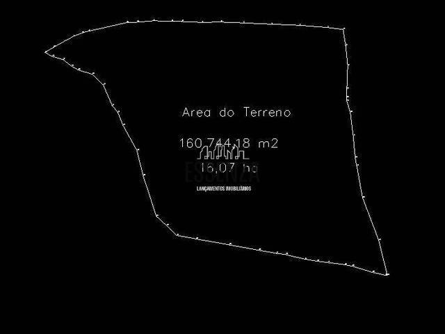  para  em  - 3