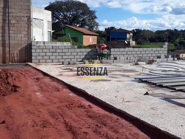 para  em  - 2