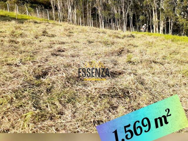 Área para Venda em Pouso Alegre - 3