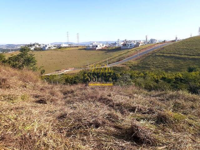 Área para Venda em Pouso Alegre - 4