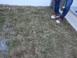 Casa para Venda em Pouso Alegre - 4