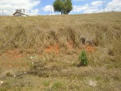 #172 - Área para Venda em Pouso Alegre - MG - 1