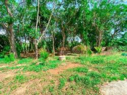 Chácara para Venda em Pouso Alegre - 3