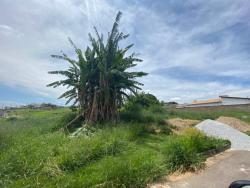 #238 - Área para Venda em Pouso Alegre - MG - 1
