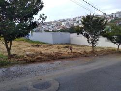 #313 - Área para Venda em Pouso Alegre - MG - 3