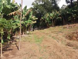 Chácara para Venda em Santa Rita do Sapucaí - 5