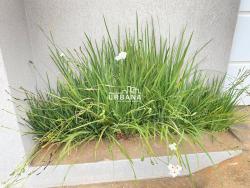 Apartamento para Venda em Pouso Alegre - 3