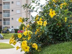 Apartamento para Venda em Pouso Alegre - 5
