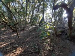 Chácara para Venda em Pouso Alegre - 5