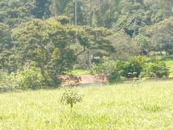 #697 - Terreno Rural para Venda em Congonhal - MG - 2