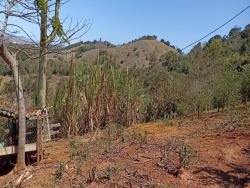 Chácara para Venda em Pouso Alegre - 5