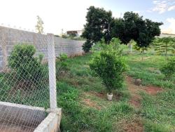 Terreno para Venda em Pouso Alegre - 3