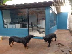 Casa para Venda em Pouso Alegre - 2