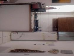 Apartamento para Venda em Pouso Alegre - 4