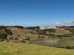 #2296 - Terreno Rural para Venda em Pouso Alegre - MG - 3