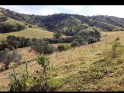 #841 - Terreno Rural para Venda em Cambuí - MG - 1