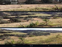 #841 - Terreno Rural para Venda em Cambuí - MG - 2