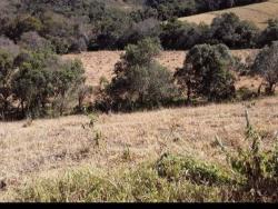 #841 - Terreno Rural para Venda em Cambuí - MG - 3