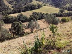 Terreno Rural para Venda em Cambuí - 4