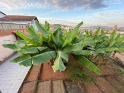 Casa para Venda em Pouso Alegre - 3