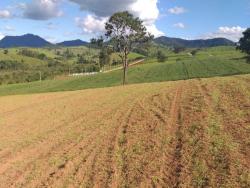 #1093 - Terreno Rural para Venda em Pouso Alegre - MG - 1