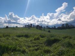 #1093 - Terreno Rural para Venda em Pouso Alegre - MG - 3
