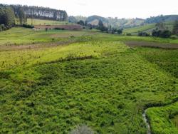 Terreno para Venda em Congonhal - 5