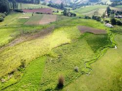 Terreno para Venda em Congonhal - 4