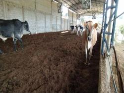 Chácara para Venda em Pouso Alegre - 2