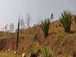 Chácara para Venda em Congonhal - 4