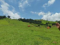 Terreno para Venda em Congonhal - 5