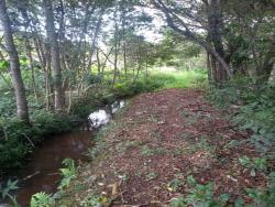 #1396 - Terreno Rural para Venda em São Sebastião da Bela Vista - MG - 2
