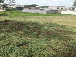 Terreno para Venda em Pouso Alegre - 4