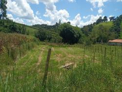 #1476 - Terreno Rural para Venda em Congonhal - MG - 3