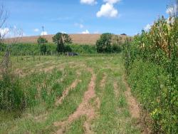 Terreno Rural para Venda em Congonhal - 4