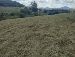 Terreno Rural para Venda em Silvianópolis - 4